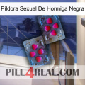 Píldora Sexual De Hormiga Negra 15